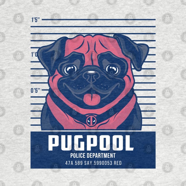 pugpool by Playground